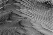 Dune Detail, Death Valley, CA