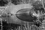 Stowe Lake, Golden Gate Park, San Francisco, CA - 881051-As Stowe Lake, Golden Gate Park, San Francisco, CA