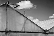 Green House, San Martin, CA