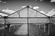 Green House, San Martin, CA