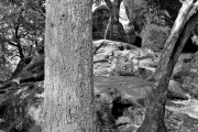 Indian Rock, Saratoga, CA