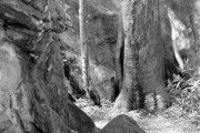 Indian Rock, Saratoga, CA