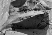 Tidal Face, Pfeiffer Beach, CA