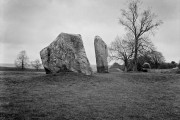 Dolmans and Tree, Avesbury, England