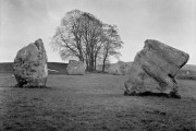 Dolmans and Tree, Avesbury, England