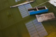 Abandoned Pool, Fort Ord, CA