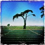 Reaching Reaching