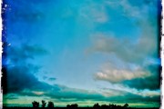 Clearing