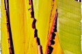Frayed