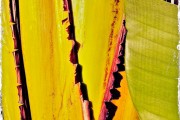 Frayed