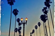 Into the Night