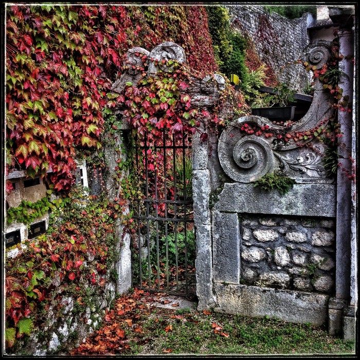 Autumnal Gate